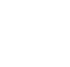 Zalo call